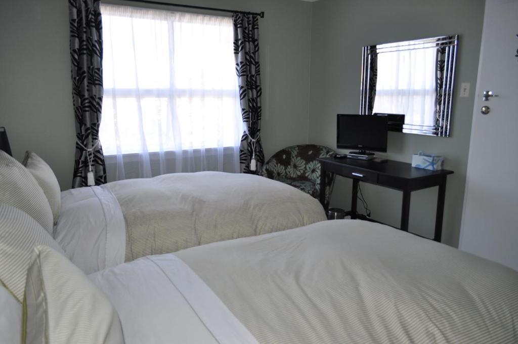 16 Havelock Bed & Breakfast New Plymouth Cameră foto
