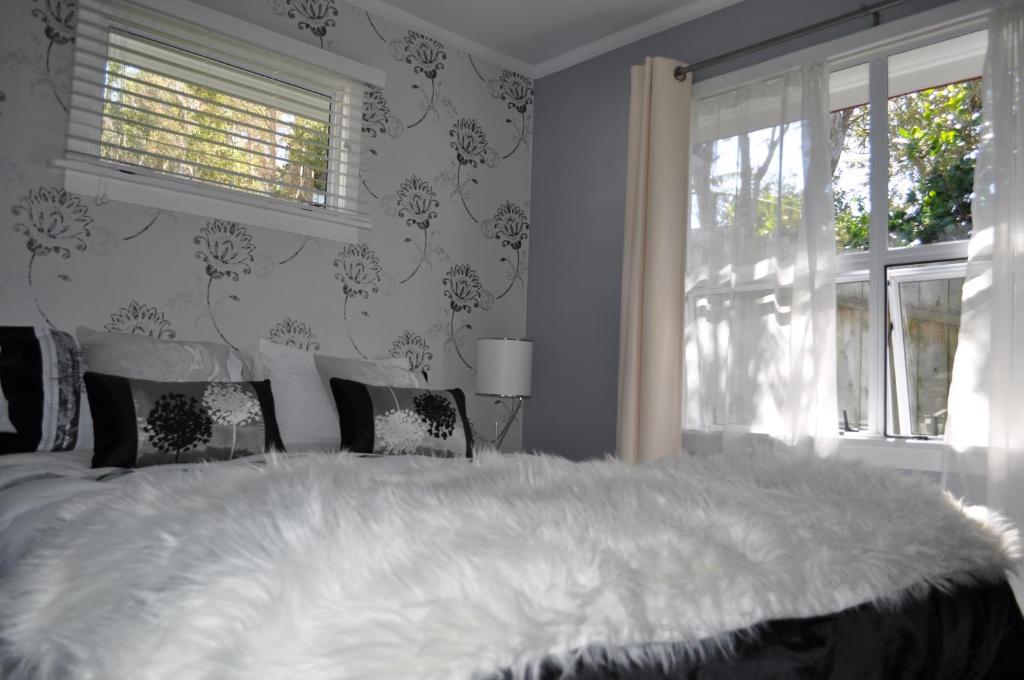 16 Havelock Bed & Breakfast New Plymouth Cameră foto