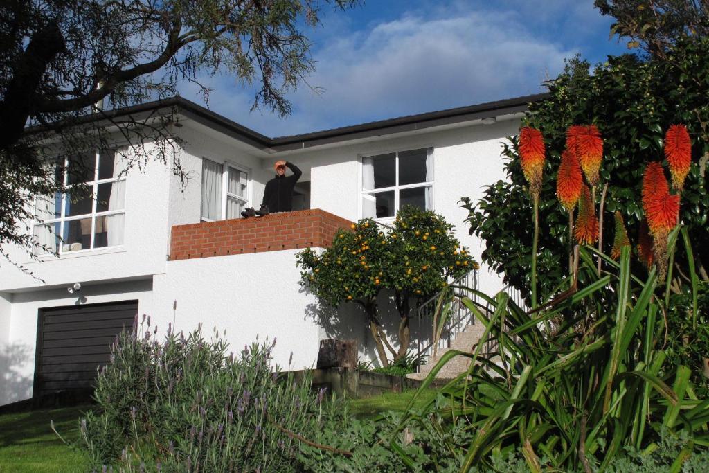 16 Havelock Bed & Breakfast New Plymouth Exterior foto