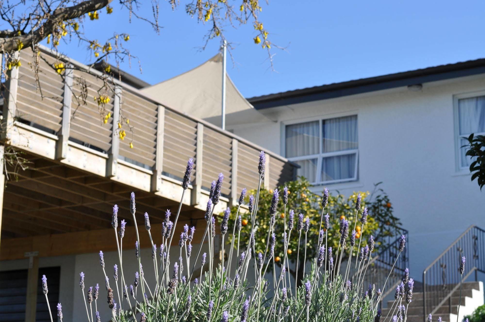 16 Havelock Bed & Breakfast New Plymouth Exterior foto